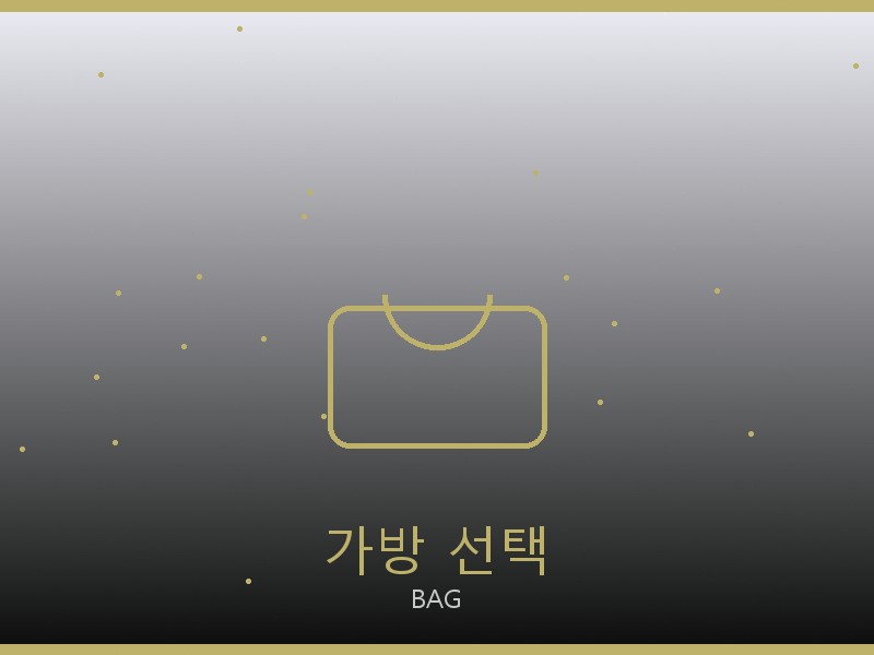 앤 앤델만 레플리카 사이트 가방 선택 가이드