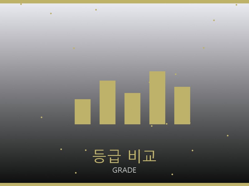 앤 앤델만 레플리카 사이트 등급 기준 비교